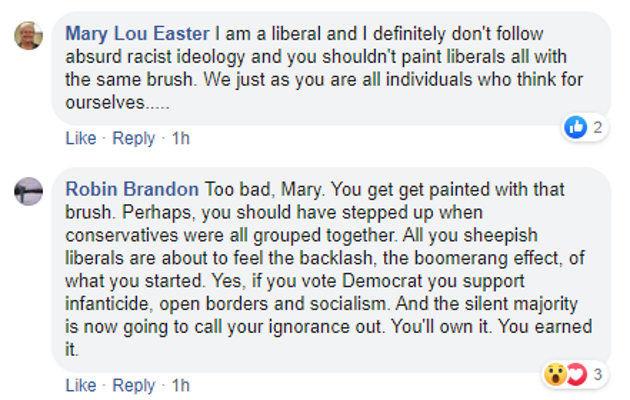 Stewart County Mayor Robin Brandon berates liberal friend (Source Facebook)