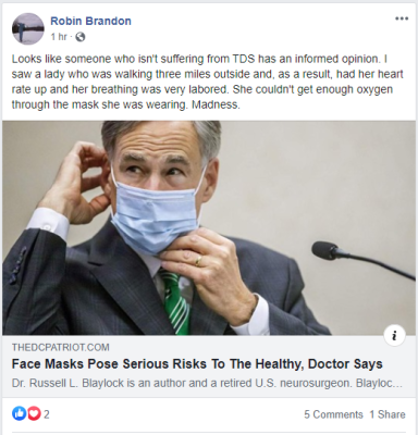 Stewart County Mayor Robin Brandon on the danger of masks (Source Facebook)